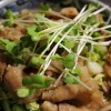 今日の夕飯は豚キャベ丼でした〜